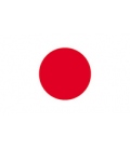 Japan Courtesy Flag