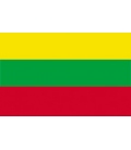 Lithuania Courtesy Flag
