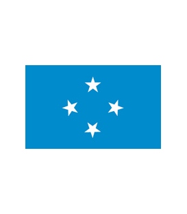 Micronesia Courtesy Flag