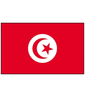Tunisia Courtesy Flag