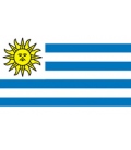 Uruguay Courtesy Flag