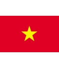 Vietnam Courtesy Flag
