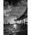 Bodine's Chesapeake Bay Country