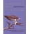 Chesapeake Bay: Nature Of The Estuary, A Field Guide
