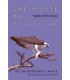 Chesapeake Bay: Nature Of The Estuary, A Field Guide