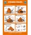 1003 Maritime Progress Poster, Vital actions after liferaft launching