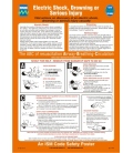 1009 Poster, Electric shock, drowning or serious injury
