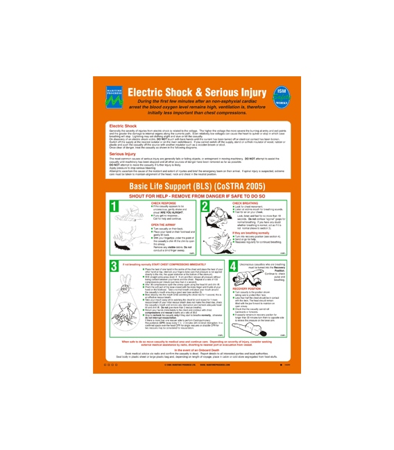 1069 Poster, Electric shock and Serious injury (CoSTRA)