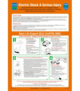 1069 Poster, Electric shock and Serious injury (CoSTRA)
