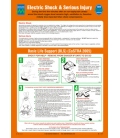 1069 Poster, Electric shock and Serious injury