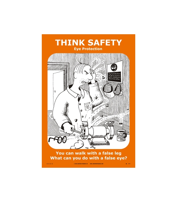 1100 Poster, Eye protection
