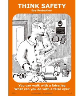 1100 Poster, Eye protection