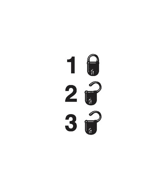 2892 Lock status, security level 1 unlocked, 50mm x 25mm