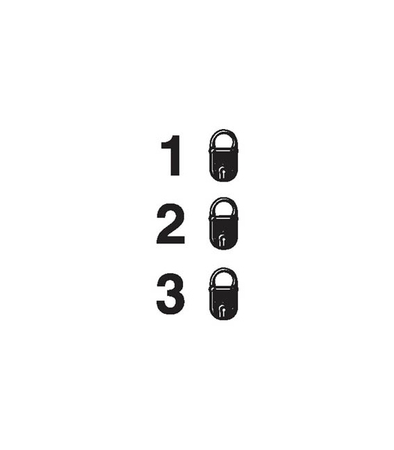 2893 Lock status, all security levels locked, 50mm x 25mm