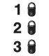 2893 Lock status, all security levels locked, 50mm x 25mm
