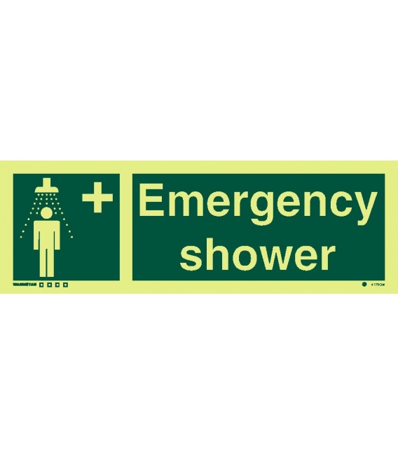 4176 Emergency shower