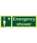 4176 Emergency shower