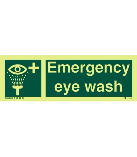 4177 Emergency eye wash