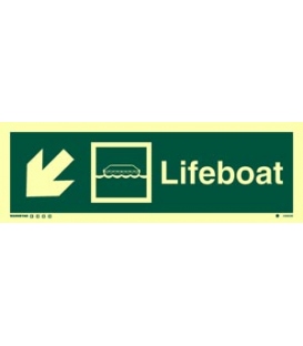 4306 Lifeboat + symbol + arrow diagonally down left