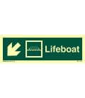 4306 Lifeboat + symbol + arrow diagonally down left