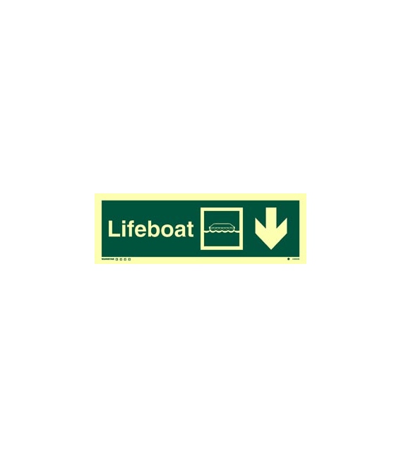 4309 Lifeboat + symbol + arrow down on right