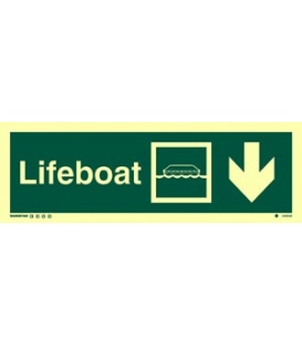 4309 Lifeboat + symbol + arrow down on right