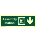 4329 Assembly station + symbol + arrow down on right