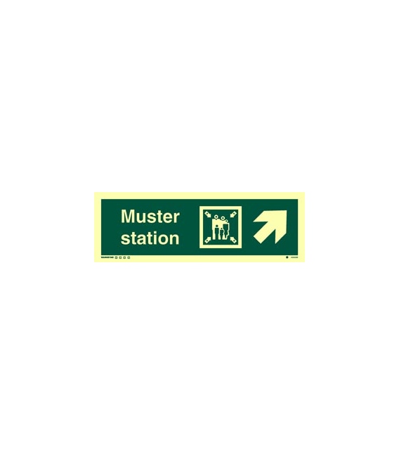 4333 Muster station + symbol + arrow diagonally up right