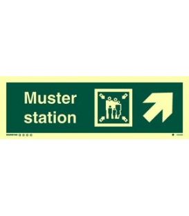 4333 Muster station + symbol + arrow diagonally up right