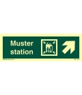 4333 Muster station + symbol + arrow diagonally up right