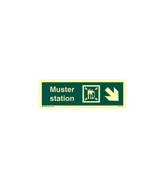 4337 Muster station + symbol + arrow diagonally down right