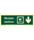 4339 Muster station + symbol + arrow down on right