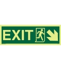 4407 EXIT + Running man symbol + arrow diagonally down right