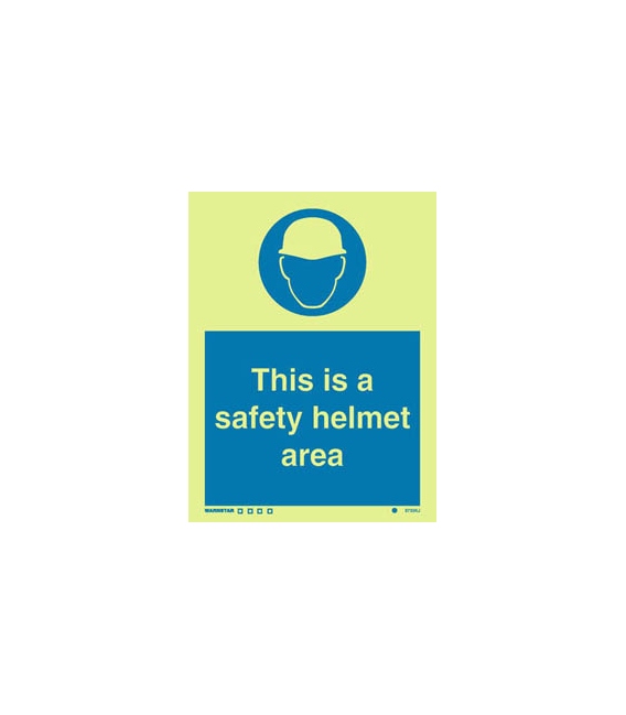5733 This is a safety helmet area + symbol