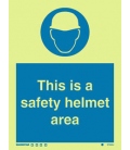 5733 This is a safety helmet area + symbol
