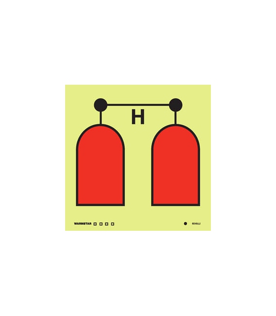 6049 Halon release station