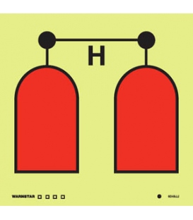 6049 Halon release station