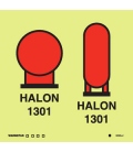 6050 Halon 1301 bottles in a protected area