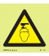 7502 Mind your head symbol