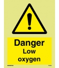 7544 Danger Low oxygen level