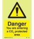 7545 Danger You are entering a CO2 protected area