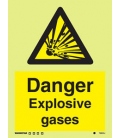 7582 Danger Explosive gases