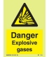7582 Danger Explosive gases