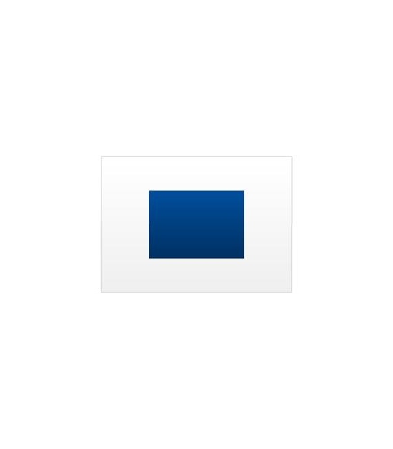 Signal "S" Flag