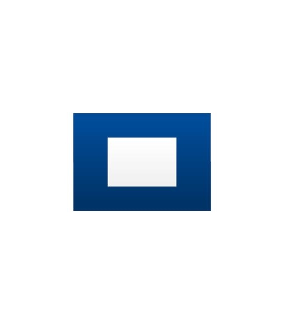 Signal "P" Flag