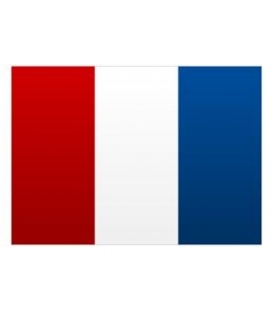 Signal Flag Letter T (Tango)