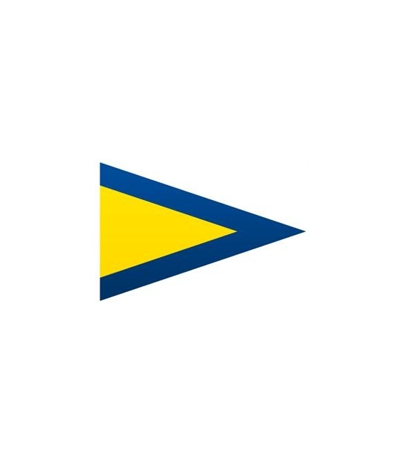 1st Repeater Substitute Flag