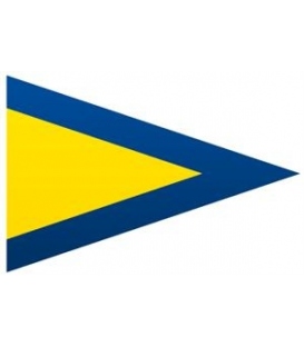 1st Repeater Substitute Flag