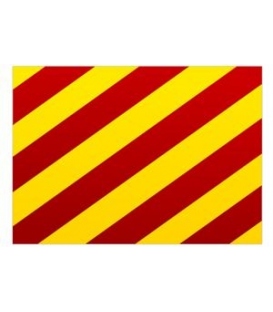 Signal "Y" Flag