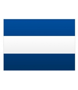 Signal Flag Letter J (Juliet)